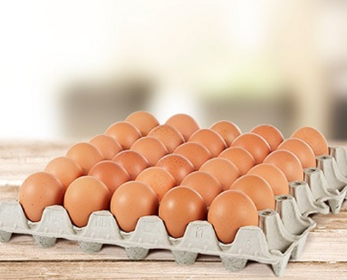 Contenitori per uova di gallina in polpa legno